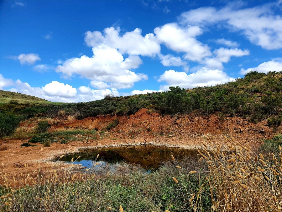 Commercial Property for Sale in Bonnievale Western Cape